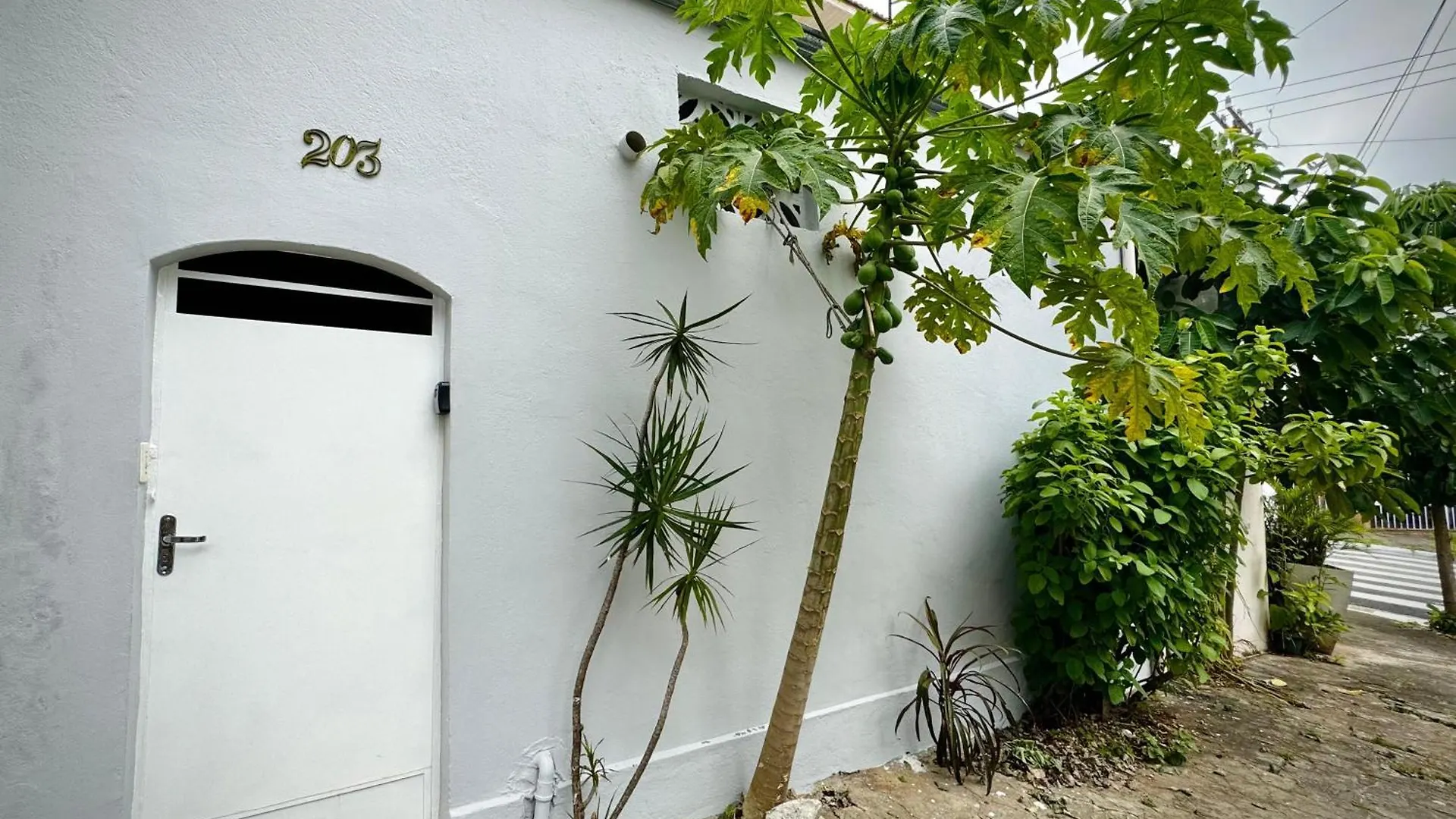 Apartamento Casa Confortavel A 10 Minutos Do Aeroporto De Cgh São Paulo